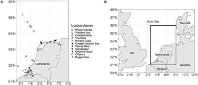 Exploring the Trophic Spectrum: Placing Mixoplankton Into Marine Protist Communities of the Southern North Sea